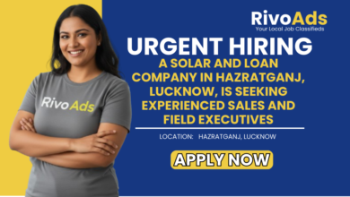 Jobs in Lucknow Sales and Field Executive vacancy Hazratganj Solar and Loan company