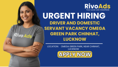 Jobs in Lucknow Driver and Domestic Servant vacancy Omega Green Park Chinhat