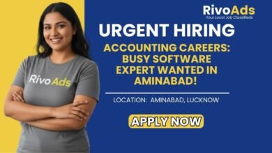 Jobs in Lucknow Busy Accountant Data Entry V.P. Traders