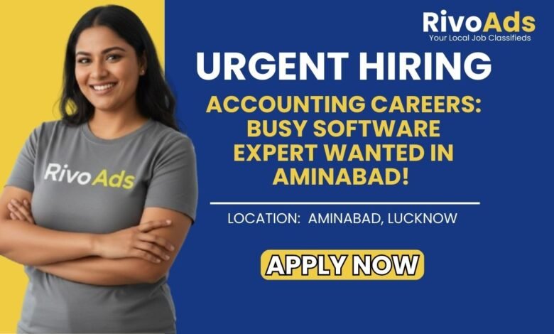 Jobs in Lucknow Busy Accountant Data Entry V.P. Traders