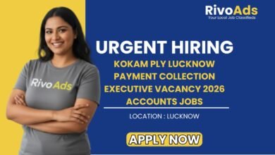 Kokam Ply Lucknow Payment Collection Executive Vacancy 2026 Accounts Jobs