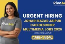 Johari Bazar Jaipur CAD Designer Multimedia Jobs 2026