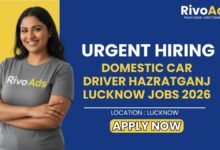 Domestic Car Driver Hazratganj Lucknow Jobs 2026
