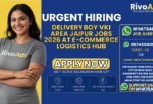 Delivery Boy VKI Area Jaipur Jobs 2026 at e-commerce logistics hub